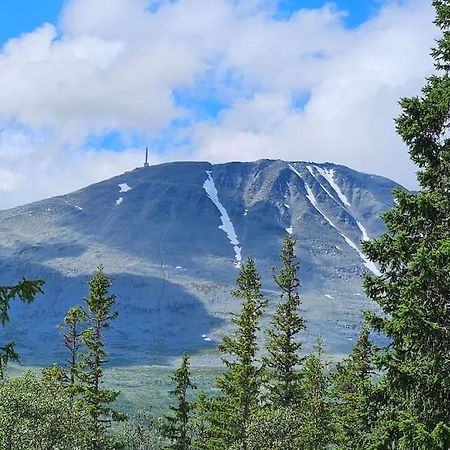 Ny Leilighet Med Flott Utsikt Til Gaustatoppen 리우칸 외부 사진