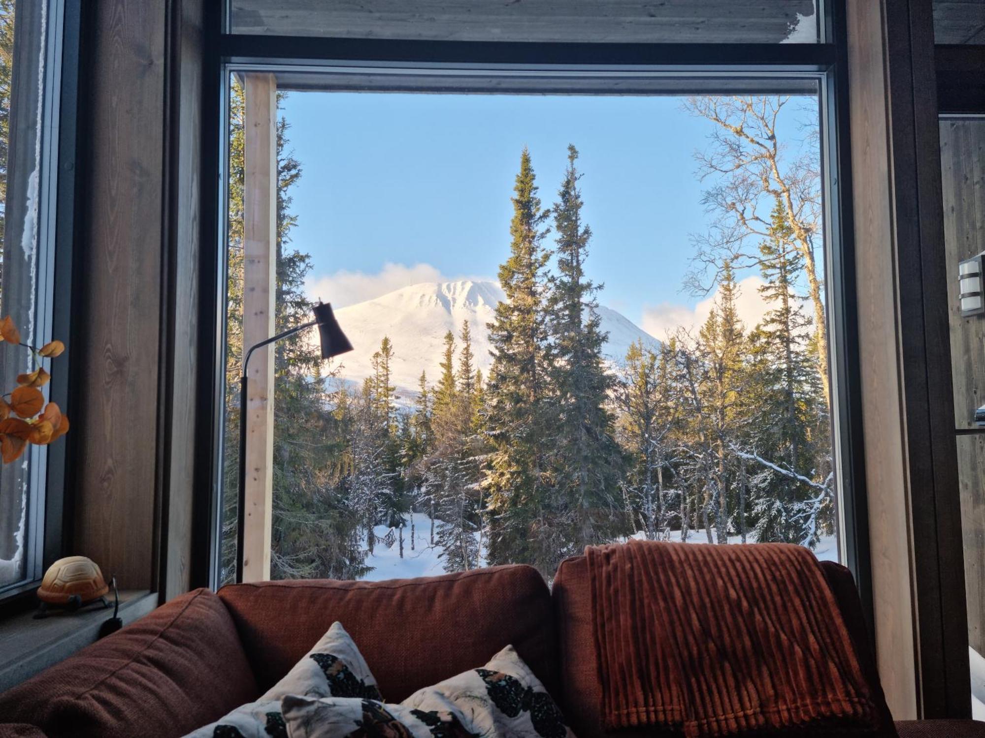 Ny Leilighet Med Flott Utsikt Til Gaustatoppen 리우칸 외부 사진