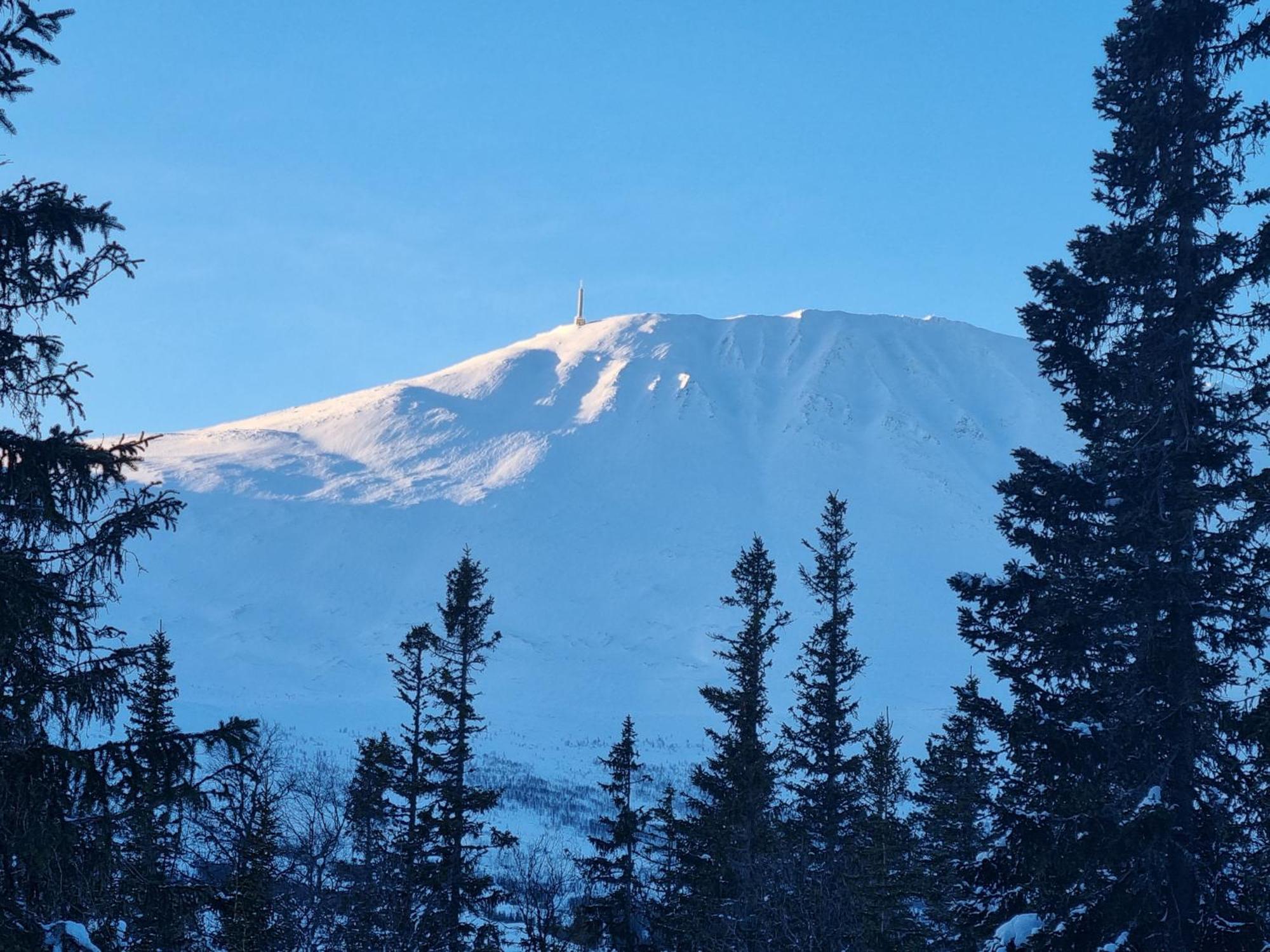Ny Leilighet Med Flott Utsikt Til Gaustatoppen 리우칸 외부 사진