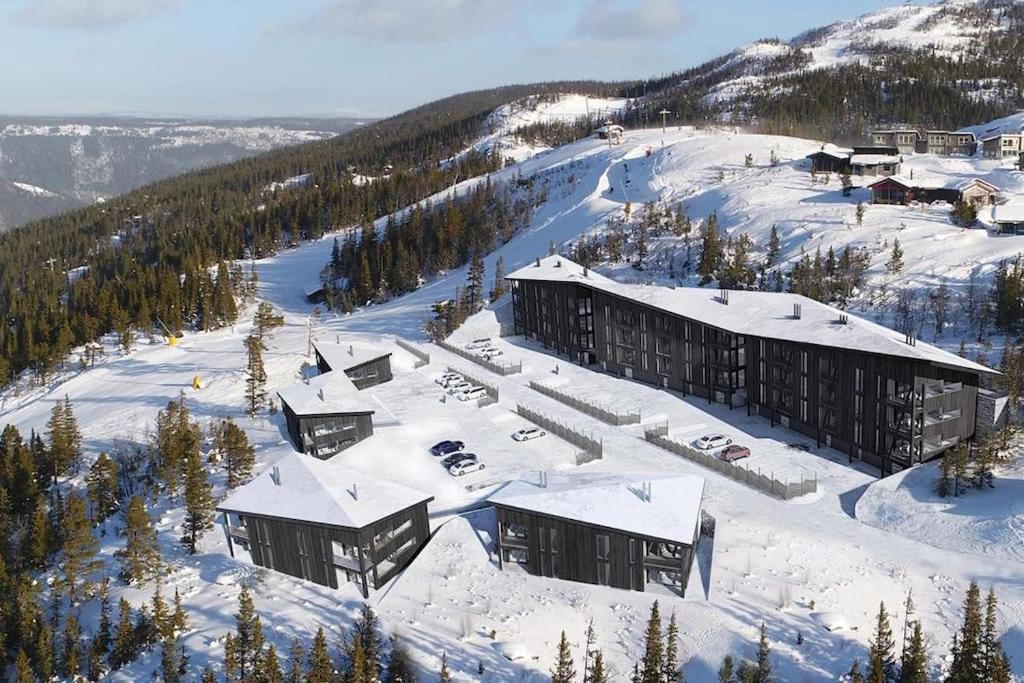 Ny Leilighet Med Flott Utsikt Til Gaustatoppen 리우칸 외부 사진