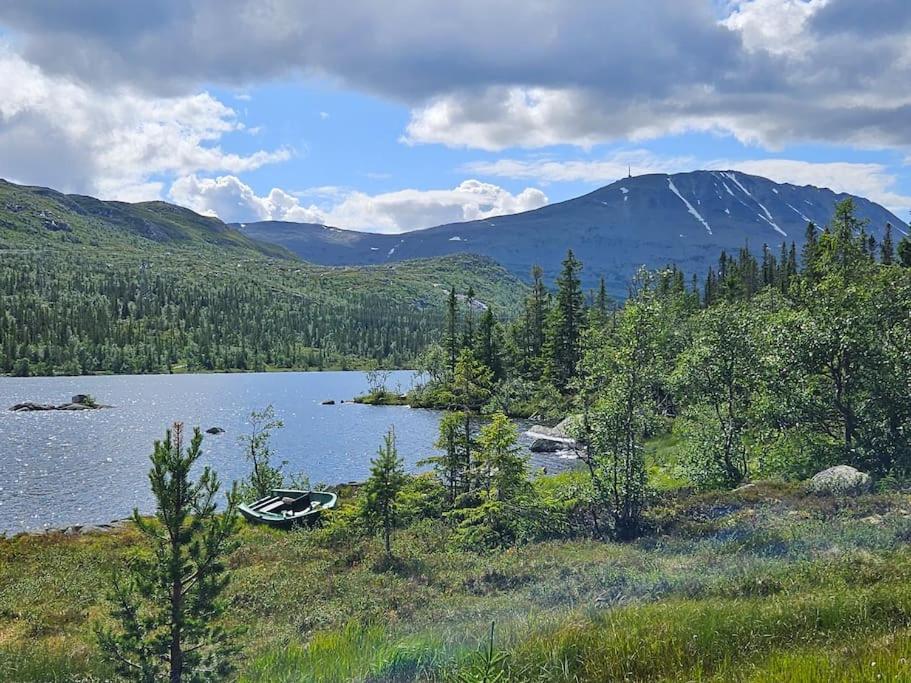 Ny Leilighet Med Flott Utsikt Til Gaustatoppen 리우칸 외부 사진