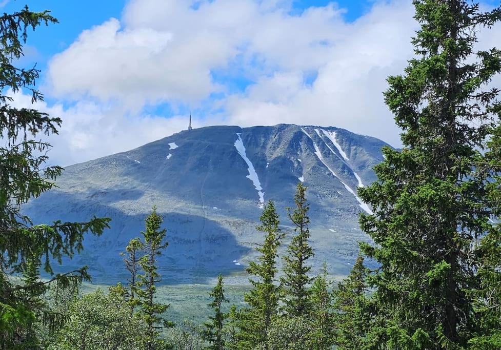 Ny Leilighet Med Flott Utsikt Til Gaustatoppen 리우칸 외부 사진