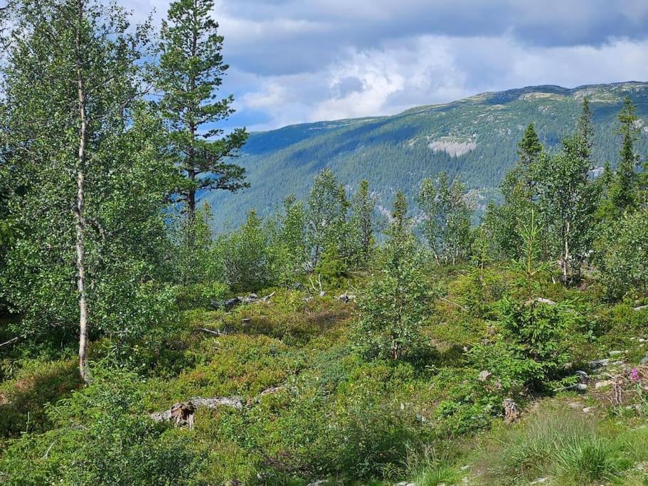 Ny Leilighet Med Flott Utsikt Til Gaustatoppen 리우칸 외부 사진