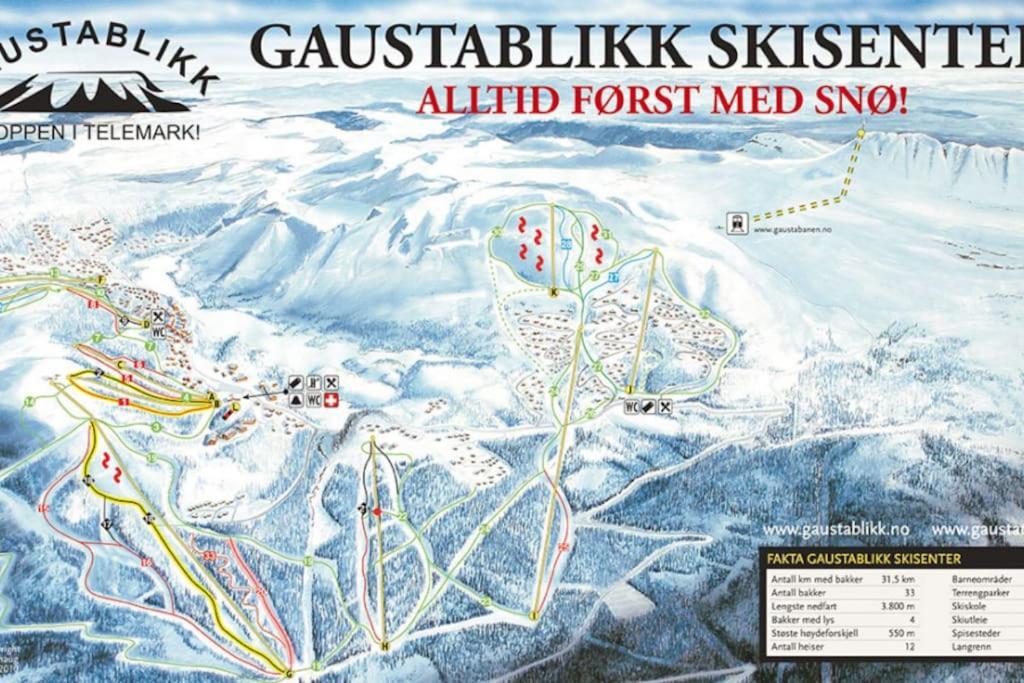 Ny Leilighet Med Flott Utsikt Til Gaustatoppen 리우칸 외부 사진